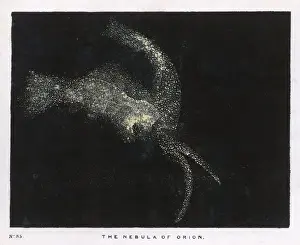 Orion Nebula Prints: Nebula in Orion