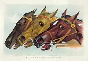 American Horse Racing Prints: Neck and neck to the wire