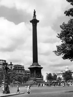 Trafalgar Square Landmark Prints: Nelsons Column