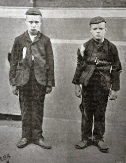 New arrivals at Truant School, Highbury Grove New arrivals at Truant School, Highbury Grove