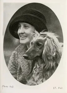 Afghan Hound Print circa 1926