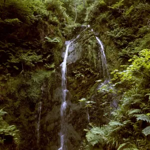 Waterfall In The Woods Prints: (insert)