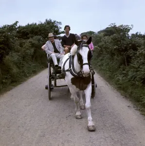 Horse Drawn Carts Prints: (insert)