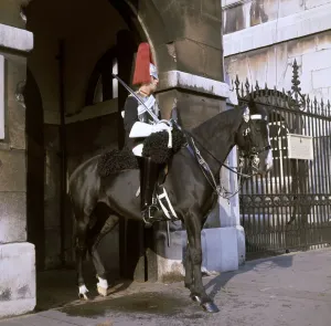 Household Cavalry Mounted Regiment Prints: (insert)