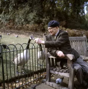Park Bench Scene Prints: (insert)