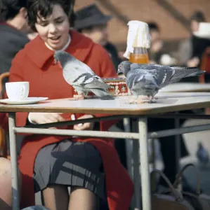 Outdoor Cafe Scene Prints: (insert)