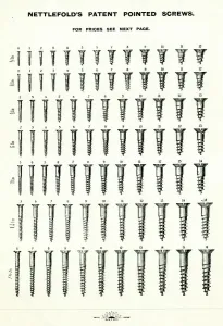 Prints of Nettlefolds patent pointed screws, from Verity Electrical Supplies, Aston, Birmingham. 1903 Birmingham Prints: Nettlefolds Patent Pointed Screws Print, 1903