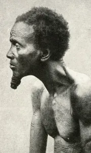 Tribal Chief, Belgian Congo Print, 1922