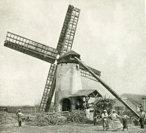 Windmill Print, Barbados Sugar Cane Processing, 1922