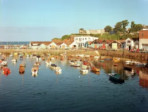 English Coastal Scene Prints: The harbour, Paignton