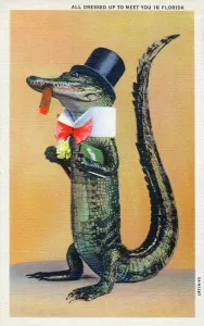 An Alligator - 1935 Florida Print
