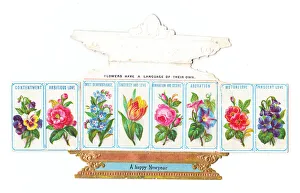 New Year card in the shape of an ornate box New Year card in the shape of an ornate box