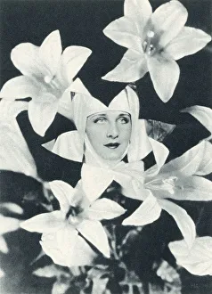 Norma Shearer among the Lilies - Screen Celebrities - from a New Angle Norma Shearer among the Lilies - Screen Celebrities - from a New Angle