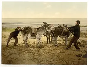 Old England Views Prints: Opposition, England