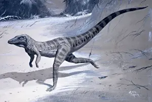 Prehistoric Animal Art Prints: Ornithosuchus