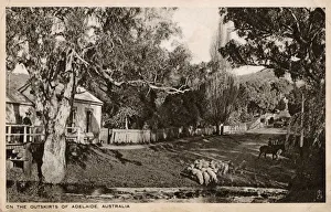 On the outskirts of Adelaide, Australia On the outskirts of Adelaide, Australia