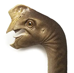 Cretaceous Period Dinosaurs Prints: Oviraptor