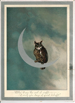 Owl on a crescent moon on a greetings card Owl on a crescent moon on a greetings card