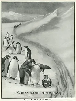 Oxo advertisement - Scott Antarctic expedition endorsement Oxo advertisement - Scott Antarctic expedition endorsement