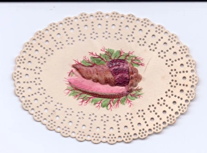 Oyster on a plate on a cutout greetings card Oyster on a plate on a cutout greetings card