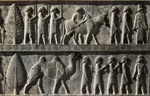 Prints of Detail of Bas-relief Decoration from the east side of the stairs at the Palace of Darius the Great, showing an offeror entourage. Persepolis, Iran. Date: 6th-4th Century BCE Iran Heritage Site Prints: Persepolis Palace of Darius Print, 6th-4th Century BCE