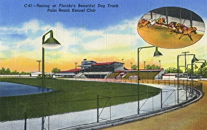 Palm Beach Kennel Club, Miami, Florida, USA Palm Beach Kennel Club, Miami, Florida, USA