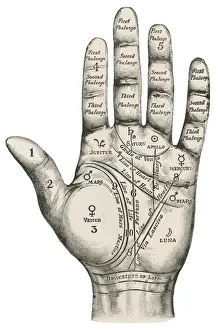 Palmistry map of the hand