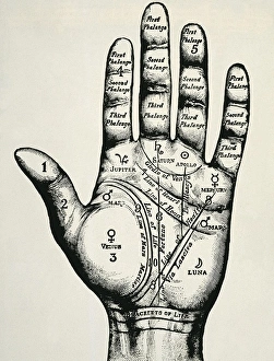 Palmistry. Planetary and zodiacal diagram of the Palmistry. Planetary and zodiacal diagram of the