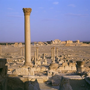 Palmyra, Syria - Coumn and view toward Temple of Bel Palmyra, Syria - Coumn and view toward Temple of Bel