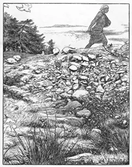 Parable of the Sower Print