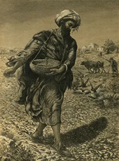 The Parable of the Sower sowing Seeds The Parable of the Sower sowing Seeds