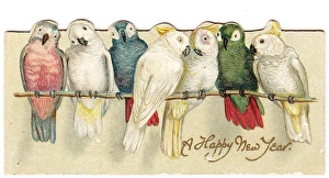 Parrots on a reversible Christmas and New Year card Parrots on a reversible Christmas and New Year card