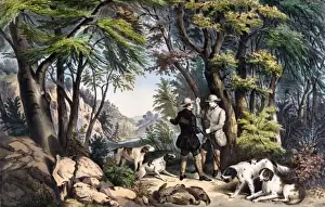 Prints of Partridge Shooting. Men with their dogs hunting partridges. Date: 1852 Game Bird Prints: Partridge Shooting Print, 1852