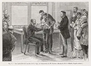 Prints of Louis Pasteur (1822 - 1895), French chemist and microbiologist, supervises a vaccination against rabies in his laboratory Louis Pasteur Prints: Print of Pasteur Vaccination