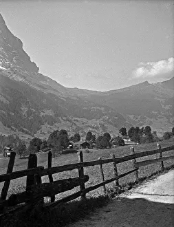 Pastoral scene, Grindelwald, Switzerland Pastoral scene, Grindelwald, Switzerland