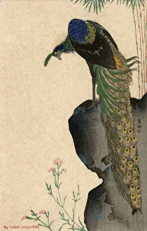 Peacock and Bamboo by Yamaguchi Soken Peacock and Bamboo by Yamaguchi Soken