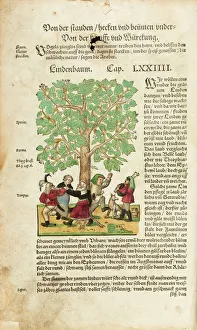 Peasants dancing round linden tree (full page) Peasants dancing round linden tree (full page)