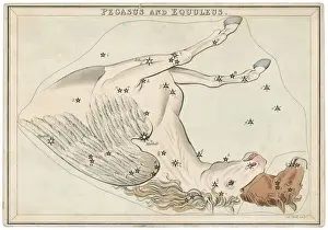Star Chart Prints: Pegasus Star Map Print
