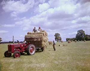 People in a field at harvest time with tractor People in a field at harvest time with tractor