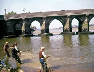 People salmon netting at Bideford, Devon People salmon netting at Bideford, Devon