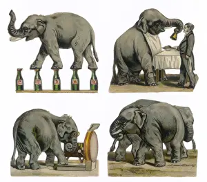 Circus Entertainment Prints: Performing Elephants