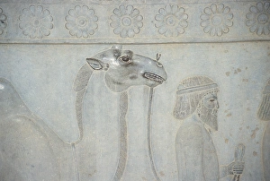 Persepolis. Relief of the stairs of the Apadana. Detail. Del Persepolis. Relief of the stairs of the Apadana. Detail. Del