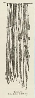Prints of A quipu of ancient Peru Peru Prints: Peruvian Quipu Print