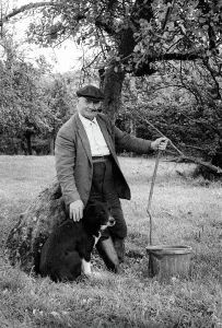 Prints of Farmer, Tom Herring with his old sheepdog in the orchard of his farm Walterstone, Herefordshire Date: circa 1975 Herefordshire Prints: Old Farmer with Dog in Orchard Print, circa 1975