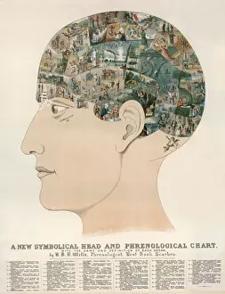 Phrenological Head Print: A Symbolic Representation of 37 Areas
