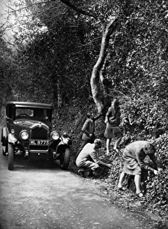 Picking berries by the roadside, 1927 Picking berries by the roadside, 1927