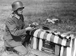 A German soldier with a carrier pigeon Print