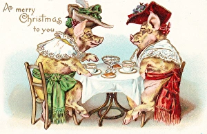 Two pigs enjoying afternoon tea on a Christmas postcard Two pigs enjoying afternoon tea on a Christmas postcard