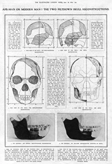 Piltdown Man: mandible and skull compared Piltdown Man: mandible and skull compared