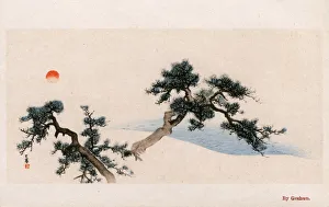 Pine Tree Branches by Matsumura Goshun (Matsumura Gekkei) Pine Tree Branches by Matsumura Goshun (Matsumura Gekkei)